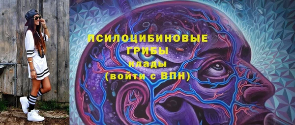 дживик Алексеевка