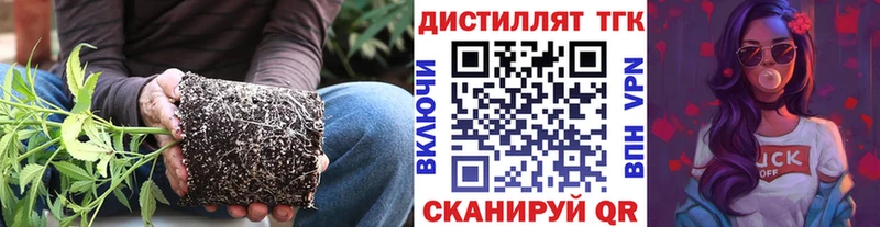наркотики  KRAKEN ссылка  Дистиллят ТГК вейп с тгк  Апатиты 